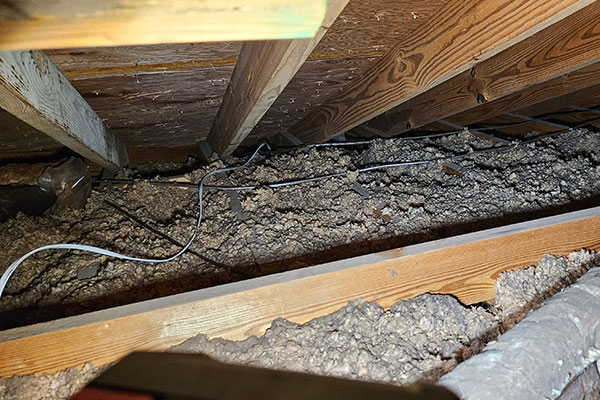 Electrical Safety Inspection Services