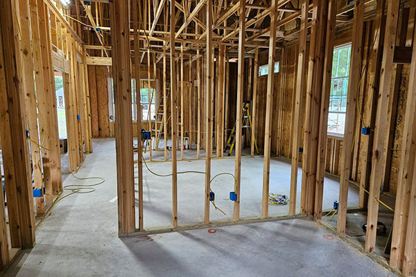 Professional Electrical Services